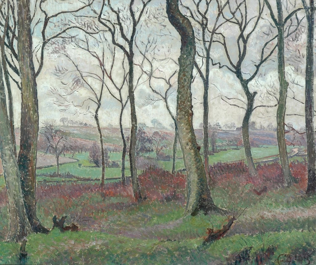 La strada di Dunmow da Tilty Wood, 1915
